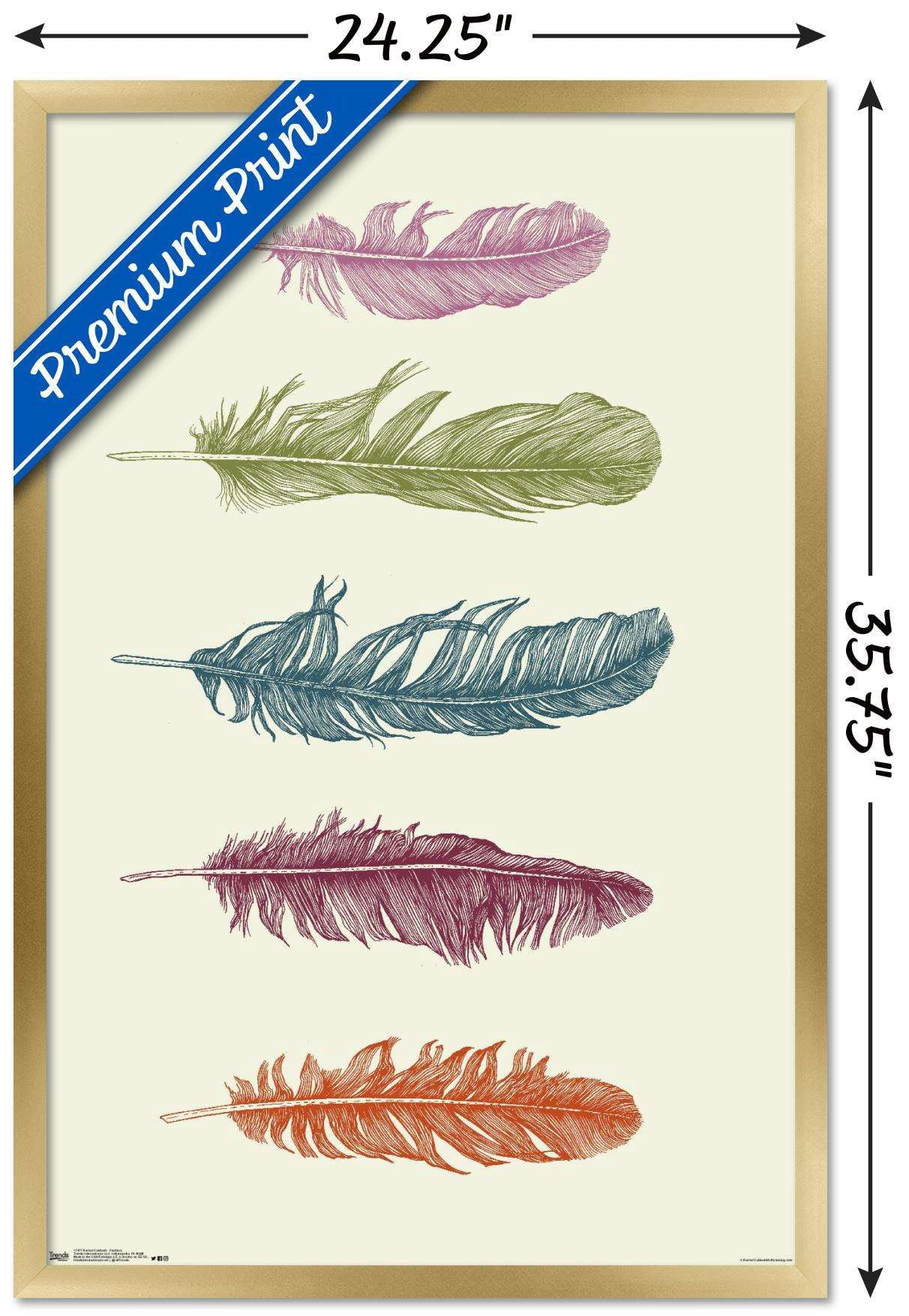 Rachel Caldwell - Feathers Wall Poster, 22.375" x 34", Framed