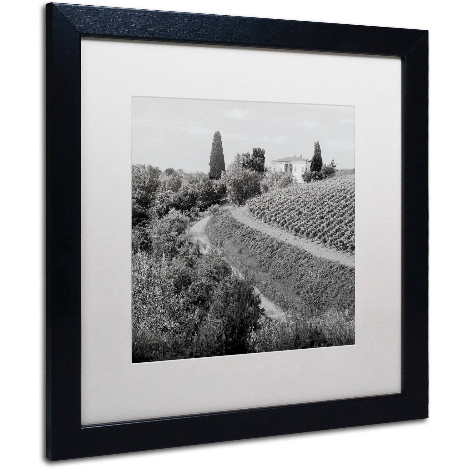 Trademark Fine Art "Tuscany V" Canvas Art by Alan Blaustein, White Matte, Black Frame