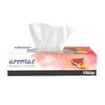 thumbnail image 1 of Pañuelos desechables Kleenex aromas mango sandía 1 paquete con 90 pzas, 1 of 4