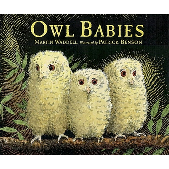 Owl Babies, (Paperback)