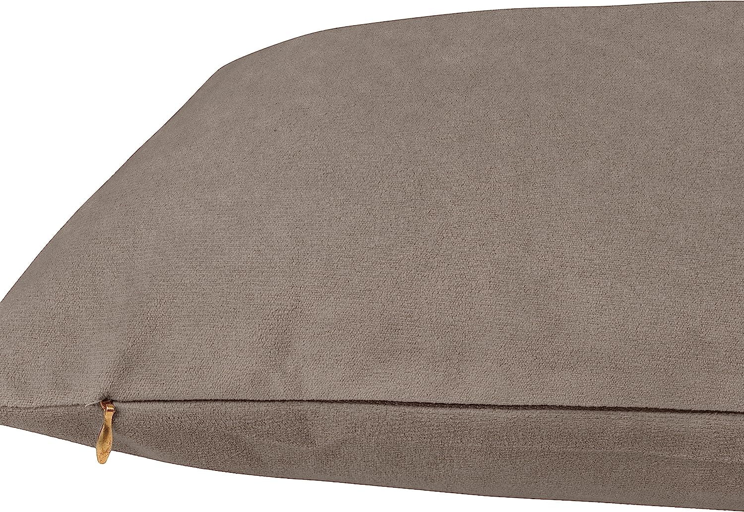 Delara Velvet Decorative Throw Pillow Cover, 20x20 inch, Pack of 1, Soft Breathable Cushion Cover with Hidden Zipper, Greyish Brown