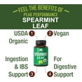 thumbnail image 2 of USDA Organic Spearmint Capsules. Organic Vegan Spearmint Leaf Pills for Digestive Support, Ingestion, and More. USA Tested Supplement for Women and Men., 2 of 7