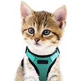 thumbnail image 3 of Cat Harness and Leash for Walking Cat and Small Dog Harness Soft Mesh Harness Adjustable Cat Vest Harness with Reflective Strap Comfort Fit for Pet Kitten Puppy Rabbit, 3 of 8