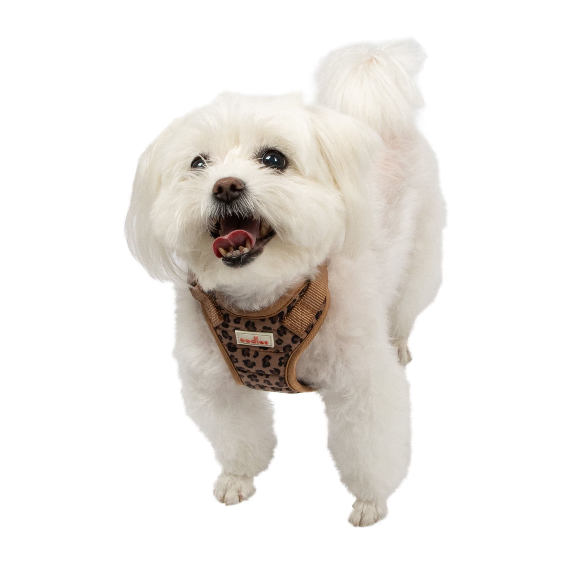 Oodles Multi-Colored Leopard Print Quilted Dog Walking Harness, Medium