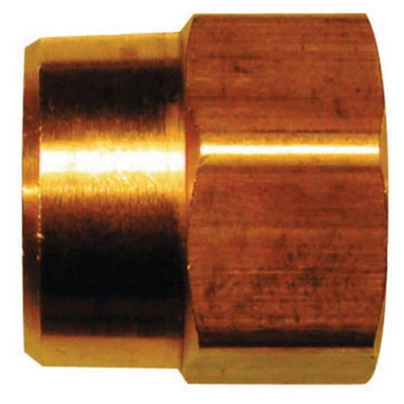 JMF 47030 0.75 FHP x 0.5 in. FTP Hose Adapter - pack of 5