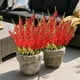thumbnail image 2 of Ramo artificial de flores de gloria de la mañana, 53cm, 2 of 6