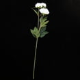 thumbnail image 2 of Ramo de flores falsas de peonía artificial Decoración de para de Blanco, 2 of 9