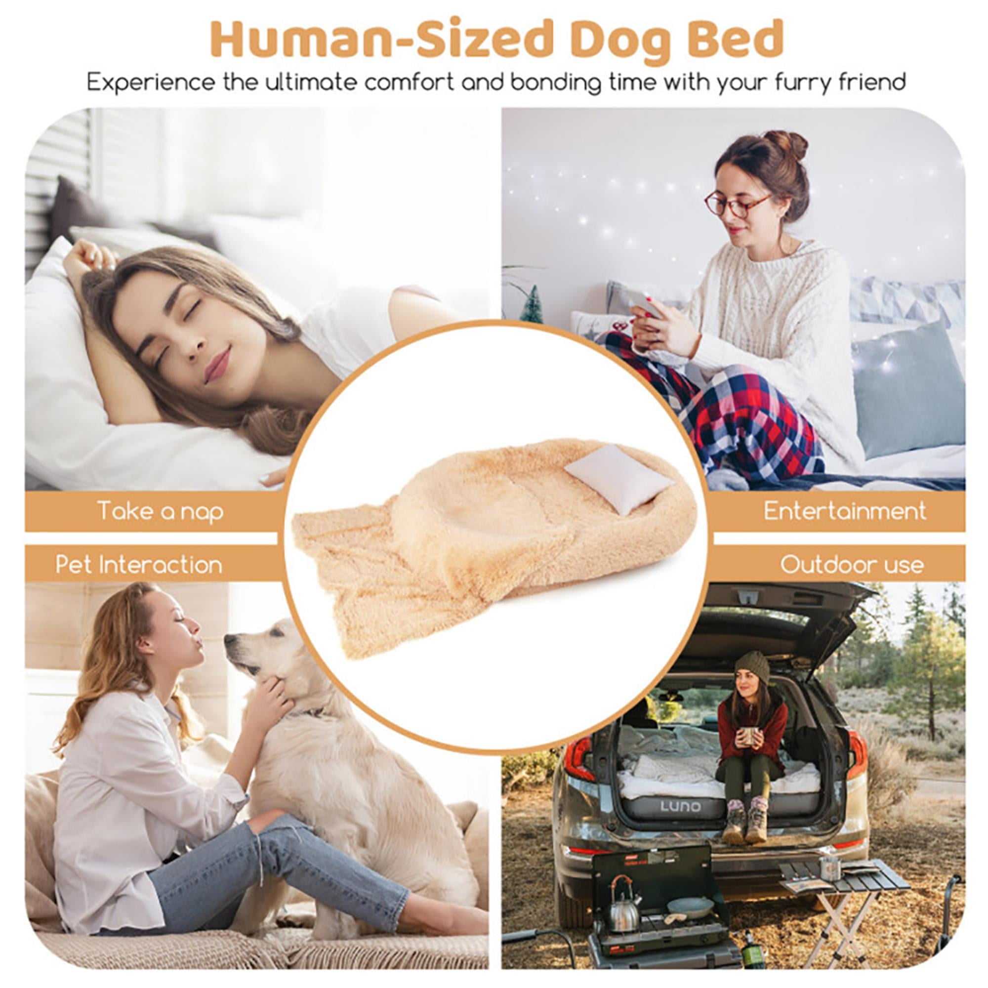 Kadyn 68" Dog Bed Sofa for Large Dogs with Soft Blanket and Plump Pillow, Stylish Washable Fluffy Pet Couch Furniture, Beige