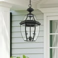 thumbnail image 4 of Livex Lighting Monterey 2 Light Outdoor Chain Hang in Black, 4 of 8