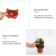 thumbnail image 2 of 10-Pack 10CM Plastic Plant Nursery Pots Seedling Flower Plant Container and Seed Starting Pots, 2 of 6