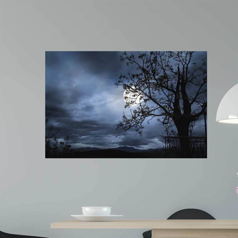 Beautiful Landscape with Fullmoon Wall Mural by Wallmonkeys Peel and ...