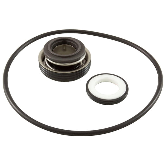 Raypak Protege Pump Mechanical Seal with Volute O-Ring Kit for RPAGP 018227F