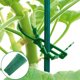 thumbnail image 4 of XWSHYW Herramientas para El Hogar Bridas de Plástico para Plantas de Jardín, Multisos, para Mayor Seguridad., 4 of 4