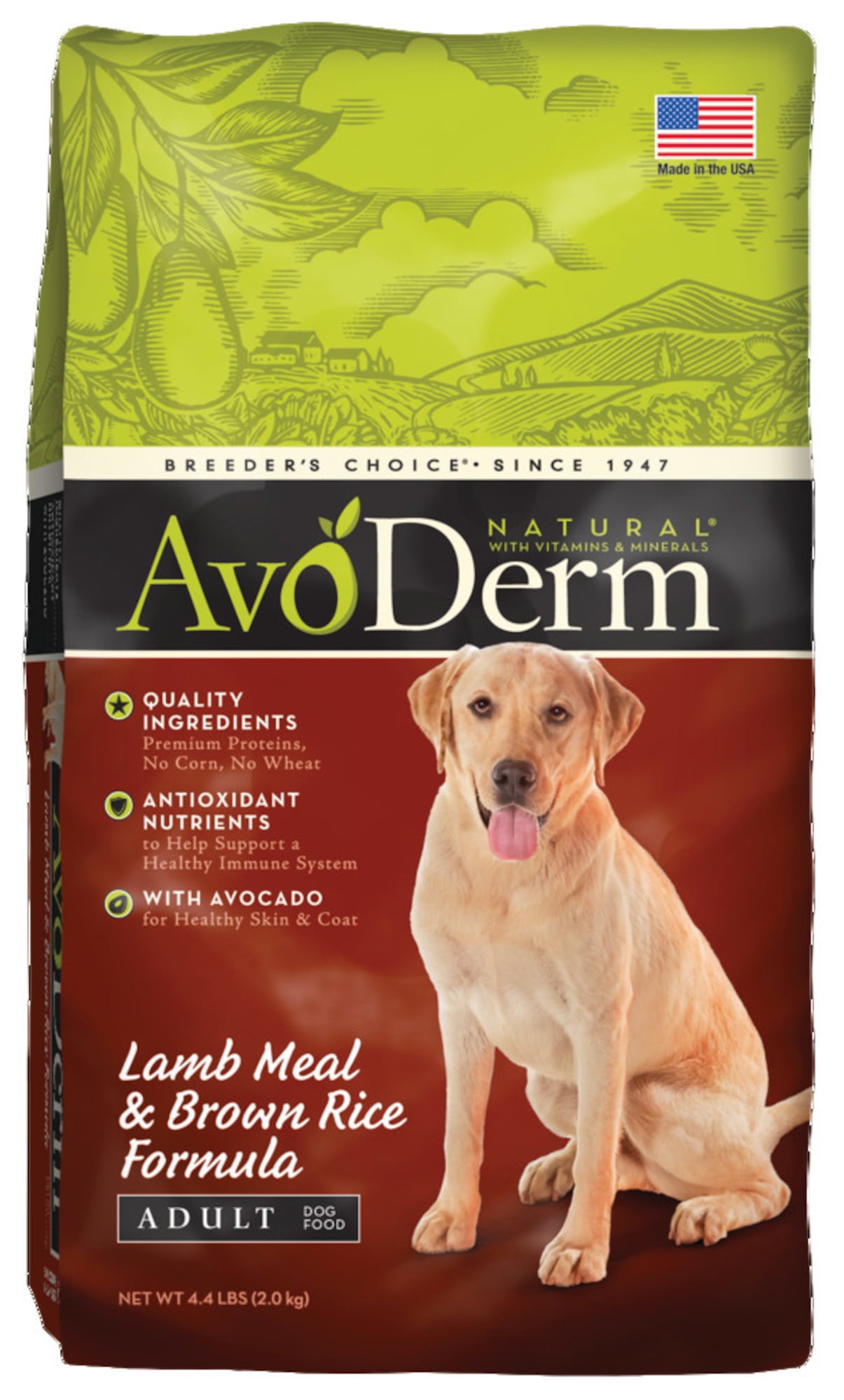 AvoDerm Natural Lamb Meal and Brown Rice Formula Adult Dog Food, 4.4-Pound