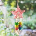 thumbnail image 4 of Binwennn Parrot Chew Toy Woven Rattan Five Pointed Star For Interactive Play And Biting Hats for Chickens to Wear Big Parrot Small Swing for Parrots for for Parrots Leather Meat Rope Budgie Gravel, 4 of 5