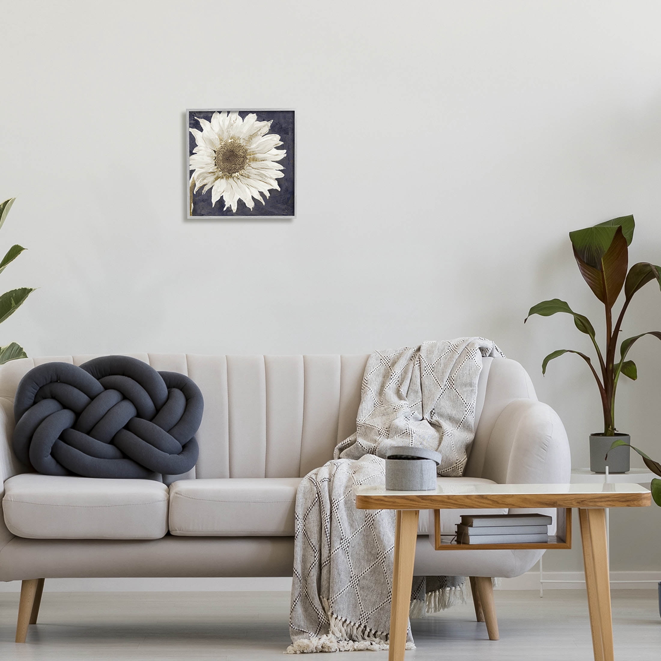 Stupell Industries Modern Distressed Daisy Graphic Art Gray Framed Art Print Wall Art, Design by Sophie 6