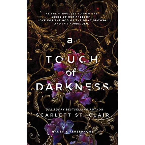 Pre-Owned A Touch of Darkness (Paperback) 1728258456 9781728258454