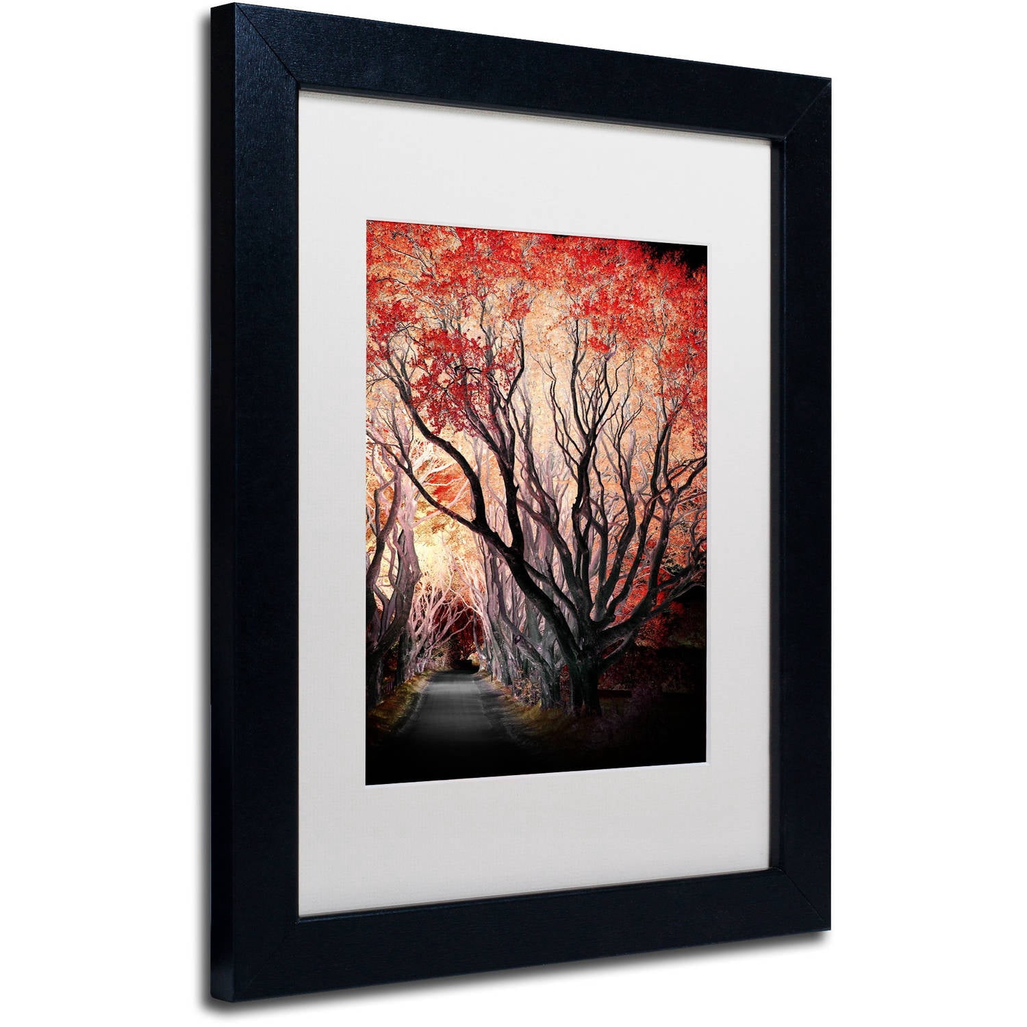 Trademark Fine Art "Powerful One" Canvas Art by Philippe Sainte-Laudy, White Matte, Black Frame