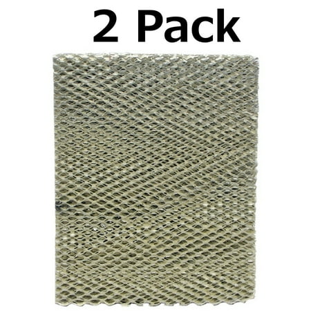 Carrier Furnace Replacement Parts - 2 Furnace Filters for Carrier HUMCCLBP2417