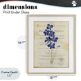 thumbnail image 4 of Stupell Industries Shabby Chic Natural Botanic Garden Flower Birch Framed Print Under Glass, 13 x 16, by Susan Arnot, 4 of 8