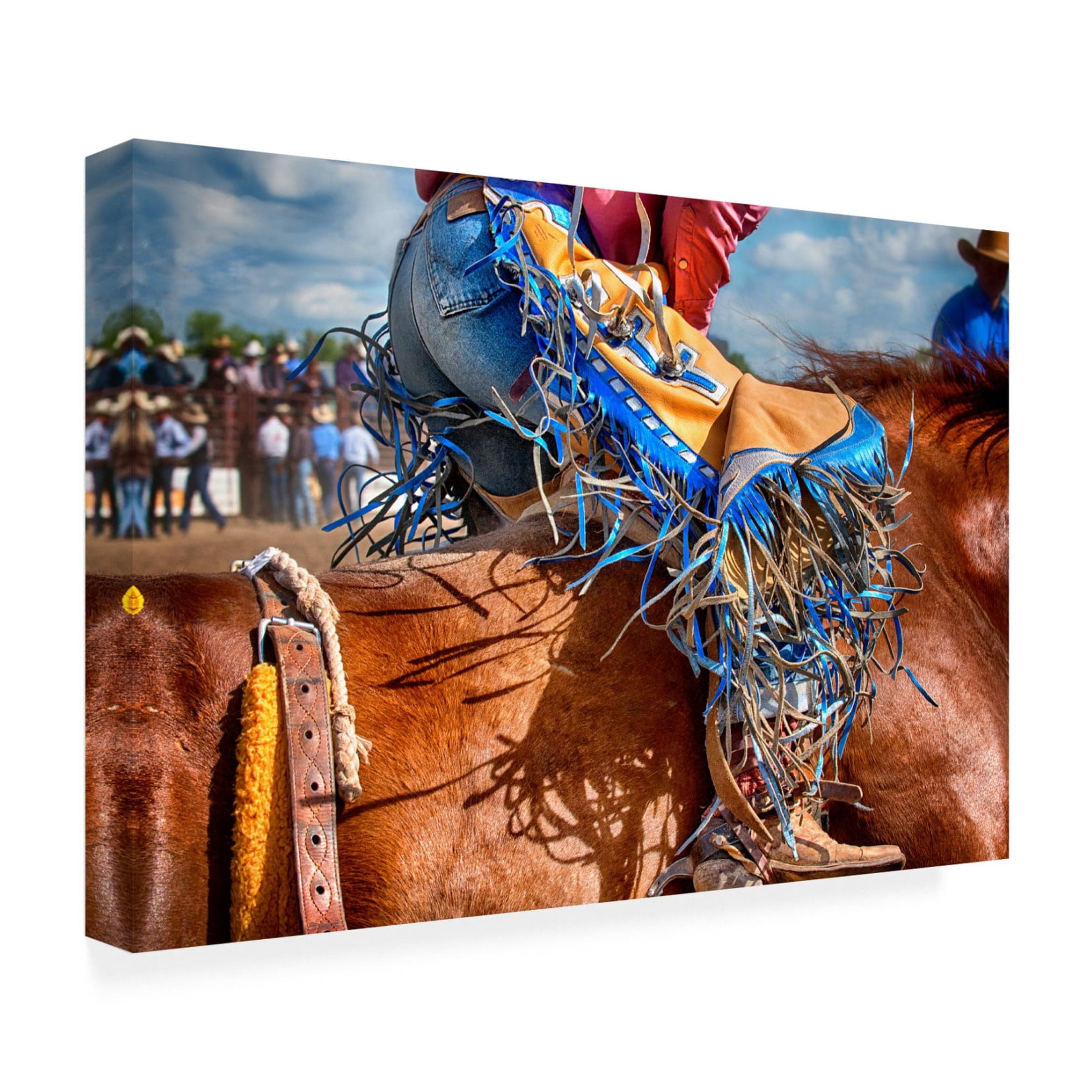 Canvas Wall Art - Lisa Dearing 'The Bronc Rider' Wall Art for Living Room, Bedroom, or Office Décor by Trademark Fine Art - 47 x 30 Inches
