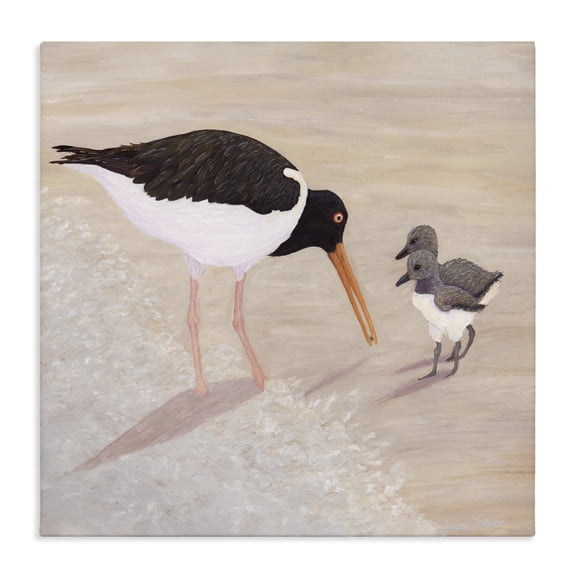 Stupell Industries Coastal American Oyster Catcher & Chicks Canvas Art, 17 x 17, by Barbara Fallenbaum