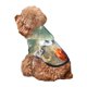 thumbnail image 5 of Fotbe Seashell On The Beach Sudadera con Estampado para Perros Pequeños – Suéter con Capucha para Mascotas, Tela Suave de Forro Polar con Bolsillo-X-Small, 5 of 7