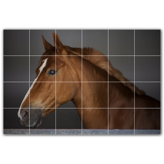 Picture-Tiles.com: Horse Ceramic Tile Wall Mural WAL500769-64S. 25.5"W x 17"H using (24) 4.25" x 4.25" Ceramic Tiles-Satin Finish