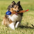 thumbnail image 5 of Cadena para Remolque Nerf Dog Azul Verde Naranja Rojo con Vortex Arco Iris, 5 of 5