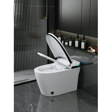 Luxury Smart Toilet with Bidet Seat Built-in