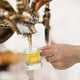 thumbnail image 4 of 12PCS Mini Beer Mug & Shot Glass Set - Premium Clear Steins with Handles for Shots, Beers & Whiskey Tasting - Perfect for Festive Birthday BBQs, Bar P, 4 of 5
