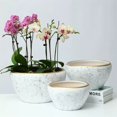 thumbnail image 4 of Macetas decorativas redondas, maceta con agujeros de drenaje, macetas de cerámica for jardín for plantas de interior/exterior, 4 of 7