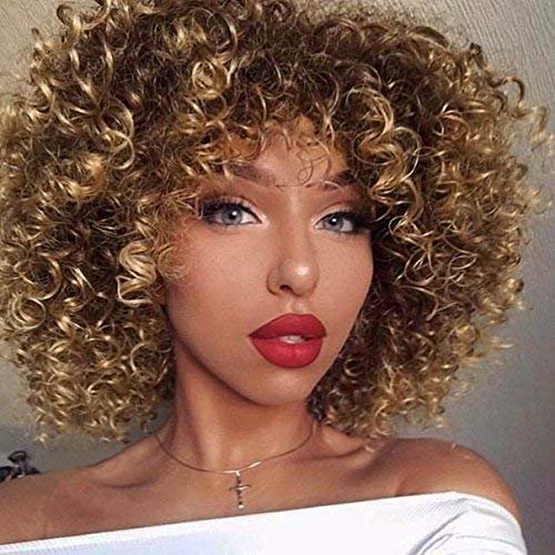 Vigour Beauty Wigs For Black Women Afro Kinky Wig Short Curly Wigs