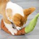 thumbnail image 5 of Juguete De Dentición Para Cachorros, Juguetes Interactivos Para Perros, Juguetes De Peluche Para Mascotas De Caracol, Juguetes Para Olfatear Perros matsuzay HA036719-00, 5 of 6