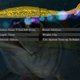thumbnail image 3 of Cebo de pesca Soidarity Gusano suave de 75mm cola en T 6 uds, 3 of 6