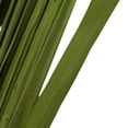 thumbnail image 4 of Vickerman 28-32" Basil Wild Flax Grass. Comes in 12oz (3 -4 oz Bundles), Dried, 4 of 5