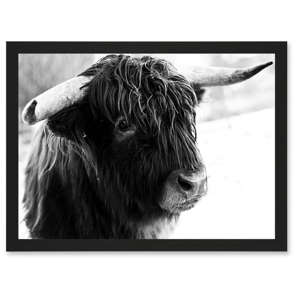 Highland Cow Bull Horns Black White Photo Aesthetic A4 Artwork Framed Wall Art Print