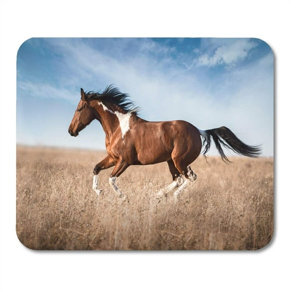 POGLIP Air Pinto Red Piebald Horse Run Field Action Amazing Mousepad Mouse Pad Mouse Mat 9x10 inch