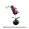 thumbnail image 4 of Cateissary Bonsái de flor de orquídea artificial, maceta de Phalaenopsis en maceta, figurita falsa para oficina, hogar, decoración interior y exterior Decoración Morado oscuro Cateissary HA084076-02, 4 of 6