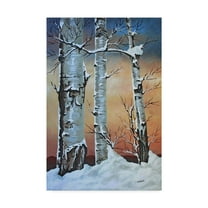 Trademark Fine Art 'Winter Sunset Behind Trees' Canvas Art by Carol J Rupp