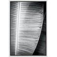 thumbnail image 3 of PixonSign Framed Canvas Print Wall Art Detailed Banana Leaf Botanical Wilderness Photography Realism Minimalist Relax/Calm Duotone Black and White for Living Room, Bedroom, Office - 16"x24" White, 3 of 5