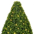 thumbnail image 2 of Vickerman Artificial 36" High x 20" Wide Boxwood Teardrop Shaped Bush, warm white 3mm LED lights., 2 of 5