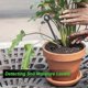 thumbnail image 5 of 10-14Inch Monitor Soil Sampler and Moisture Meter for Lawn Plant Garden Farm Soil Sampling, 5 of 5
