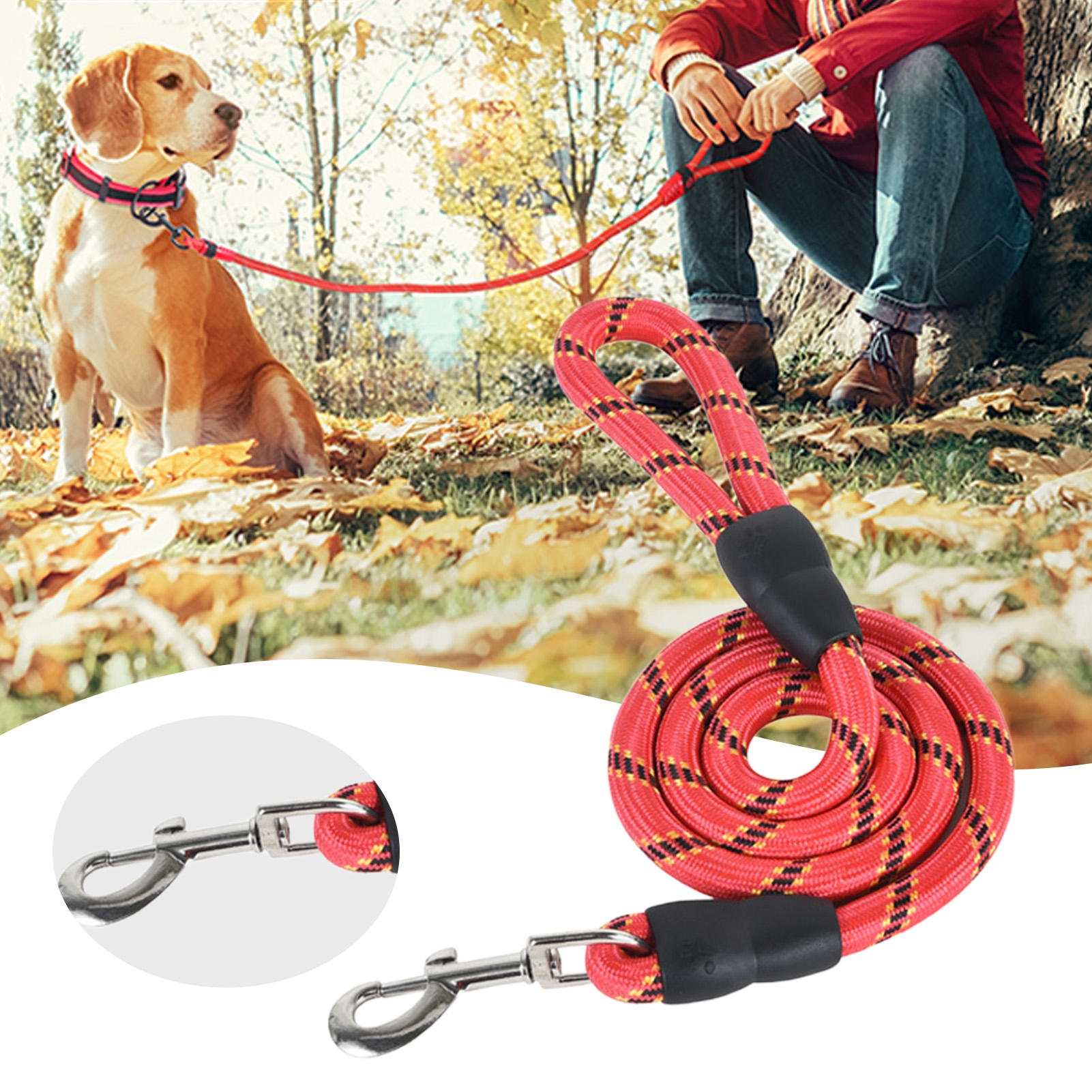 break away leash