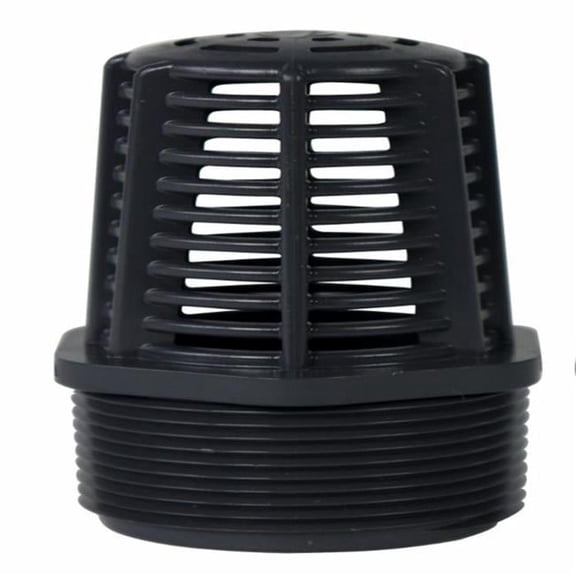 Strainer Foot Valve - 2 in. Ips