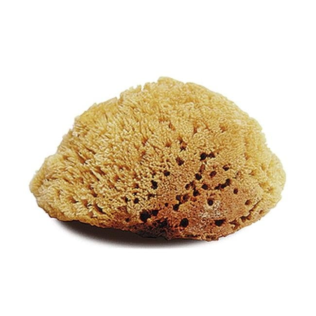 Jacks 10314 Natural Body Sponge - Large