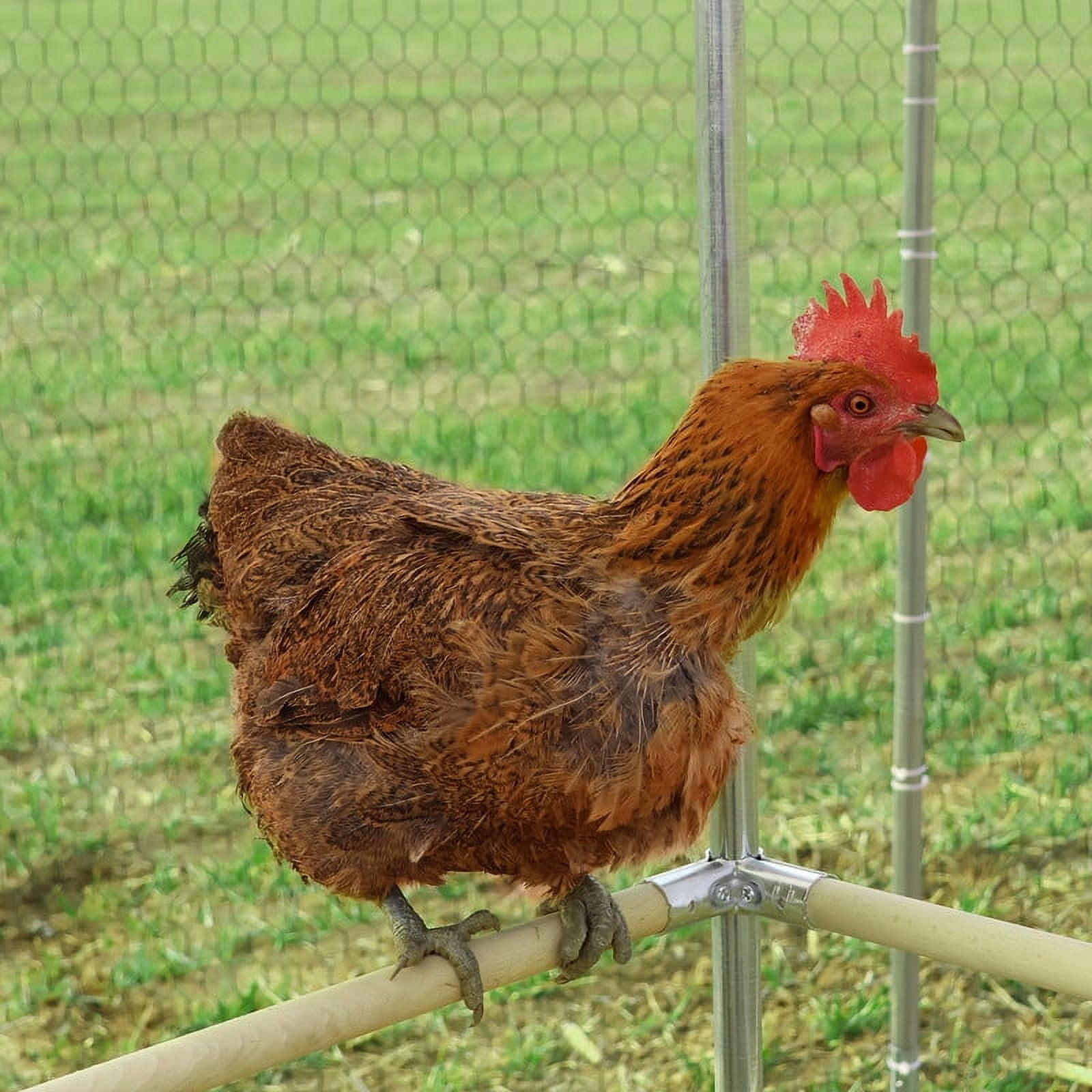 Walnest 13x10ft Large Metal Chicken Coop, Walk-in Chicken Run Coop, Outdoor Poultry Hen Cage,Waterproof and Anti-UV Cover Pet Playpen for Ducks, Chickens and Rabbits