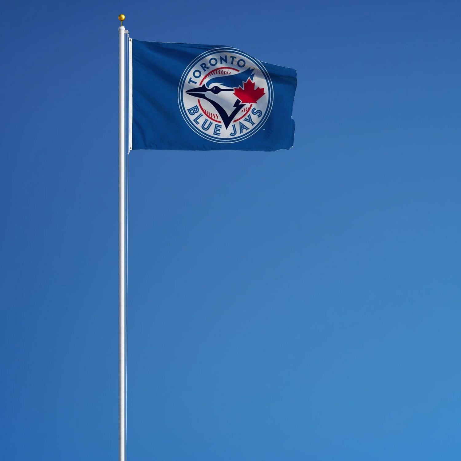 GTEI MLB Toronto Blue Jays Flag
