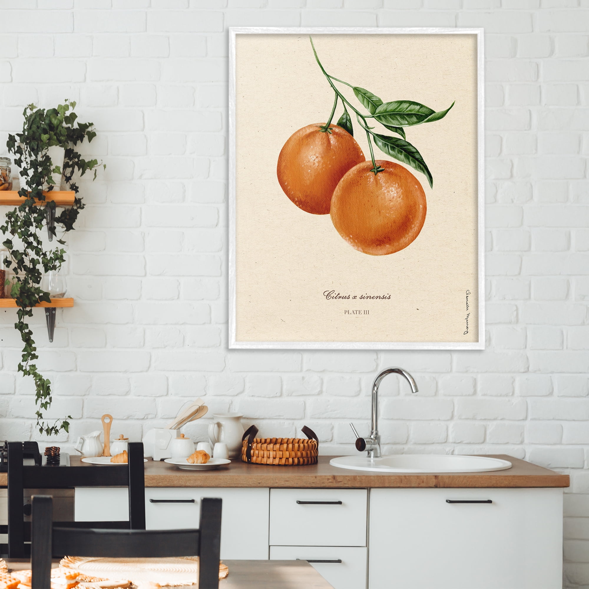 Stupell Industries Orange Fruit Portrait White Framed Giclee Art, design by Danielle Murray