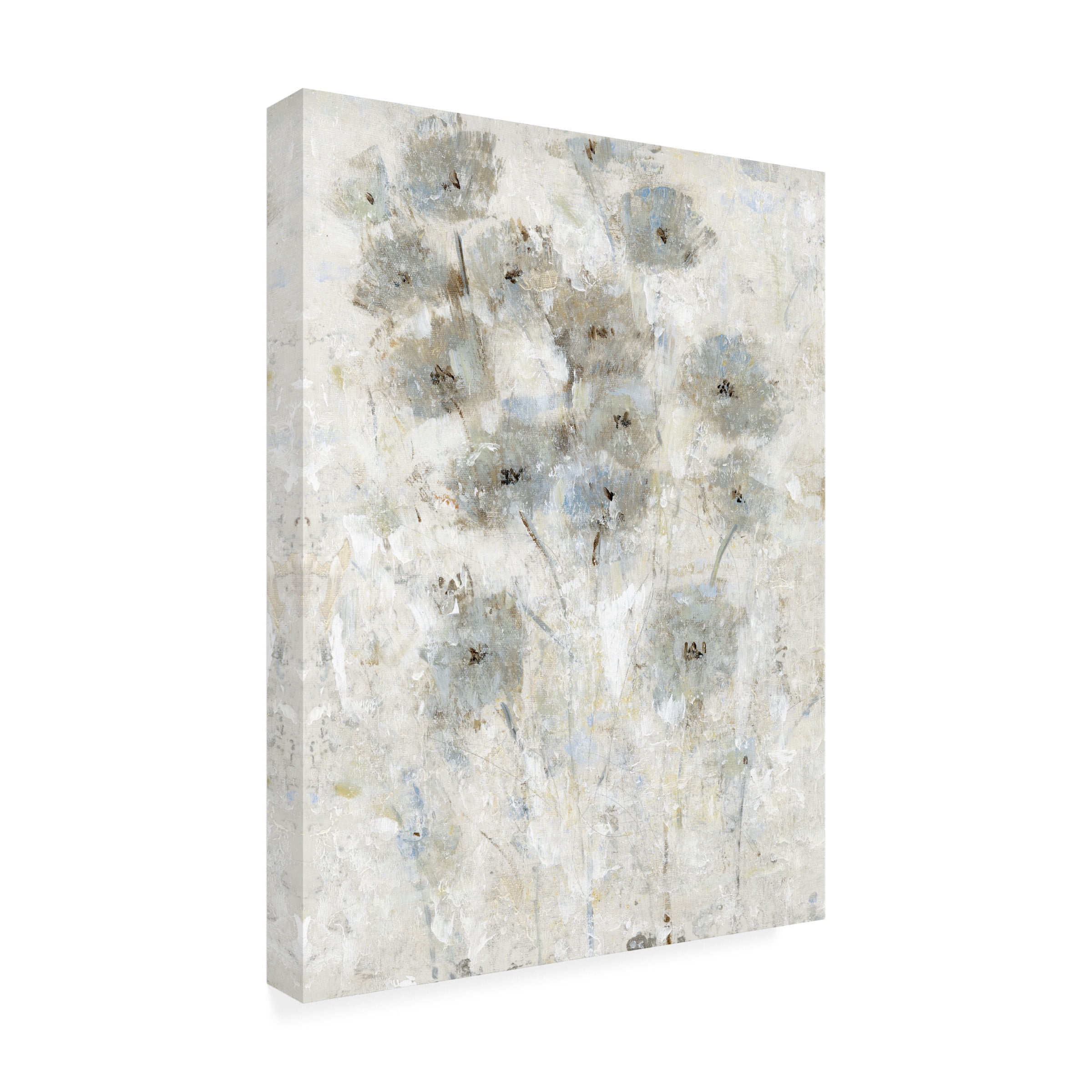 Tim OToole 'Early Bloom II' Canvas Art